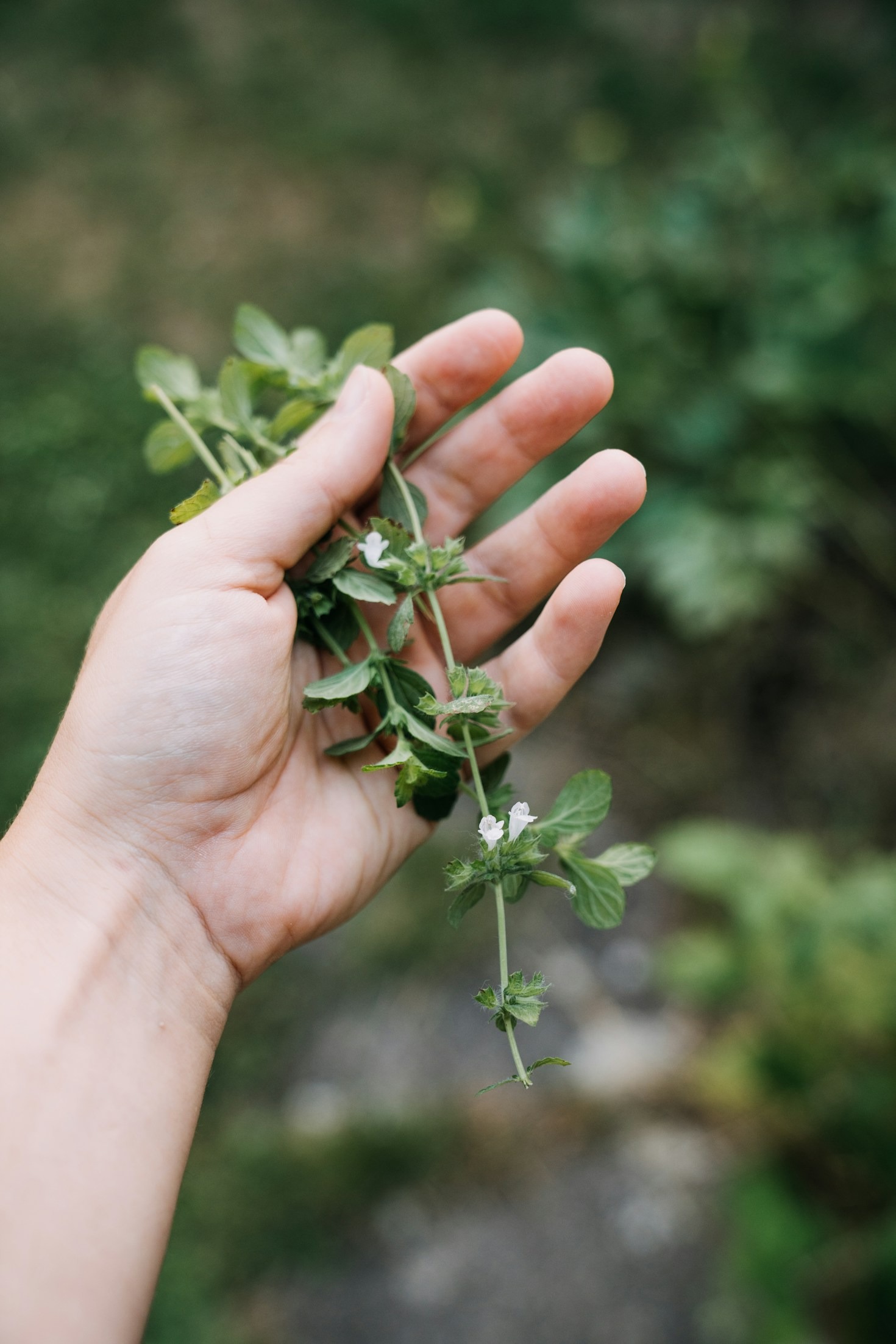 Beginner Tips For Manifesting With Moon Phases